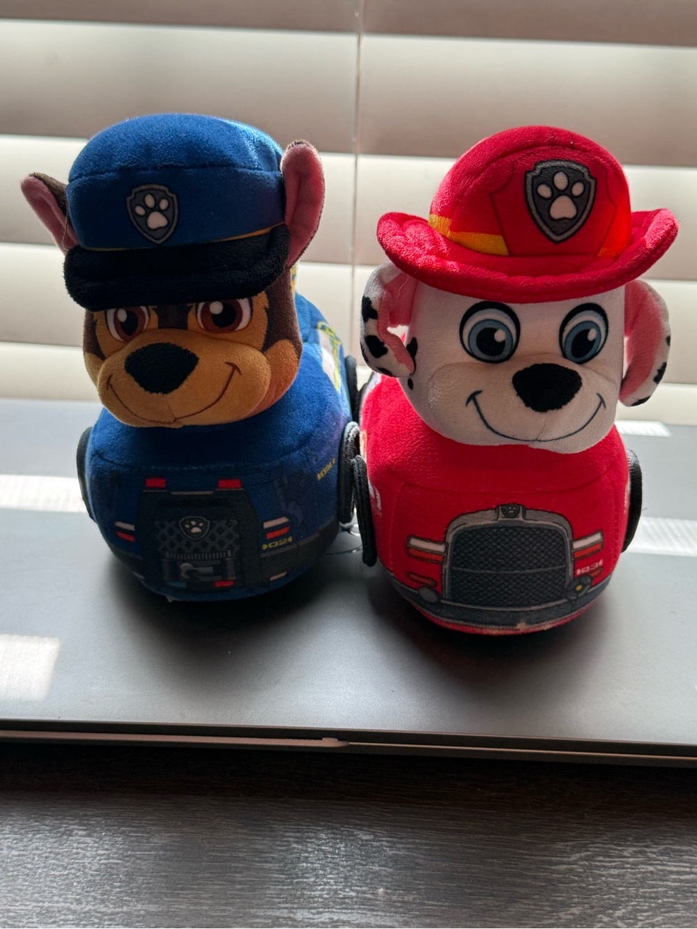 PAW Patrol Slippers - Size 7-8